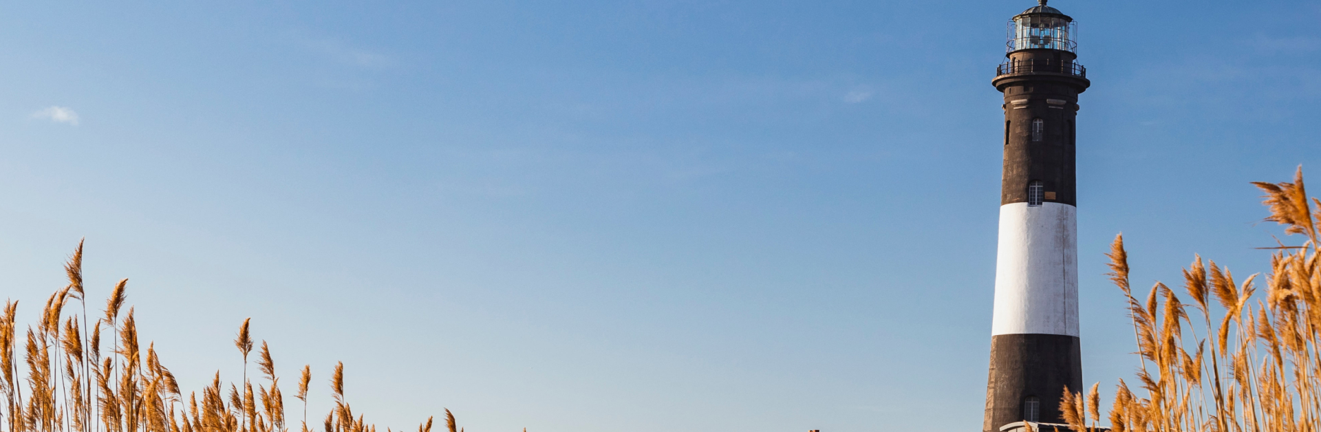 julian-bracero-T7bhrAEzF-I-unsplash-1